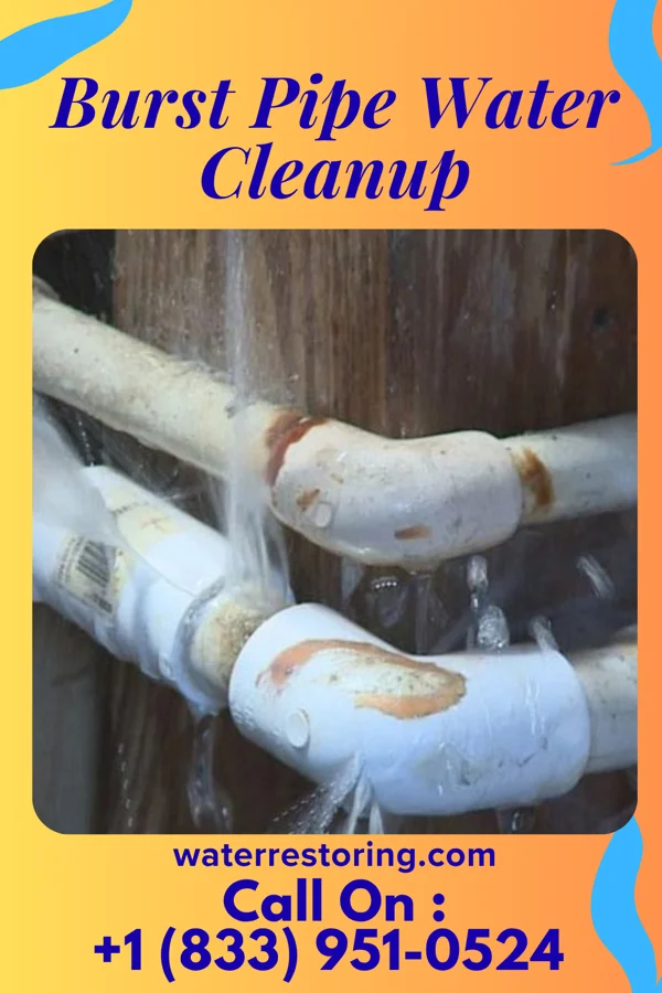 Burst Pipe Water Cleanup in San Marine, OR