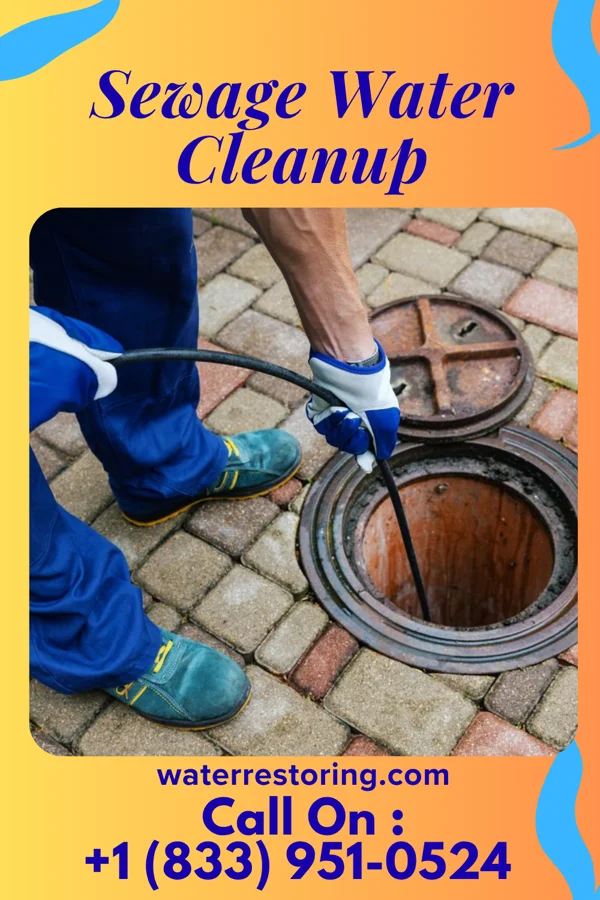 Sewage Water Cleanup in San Marine, OR